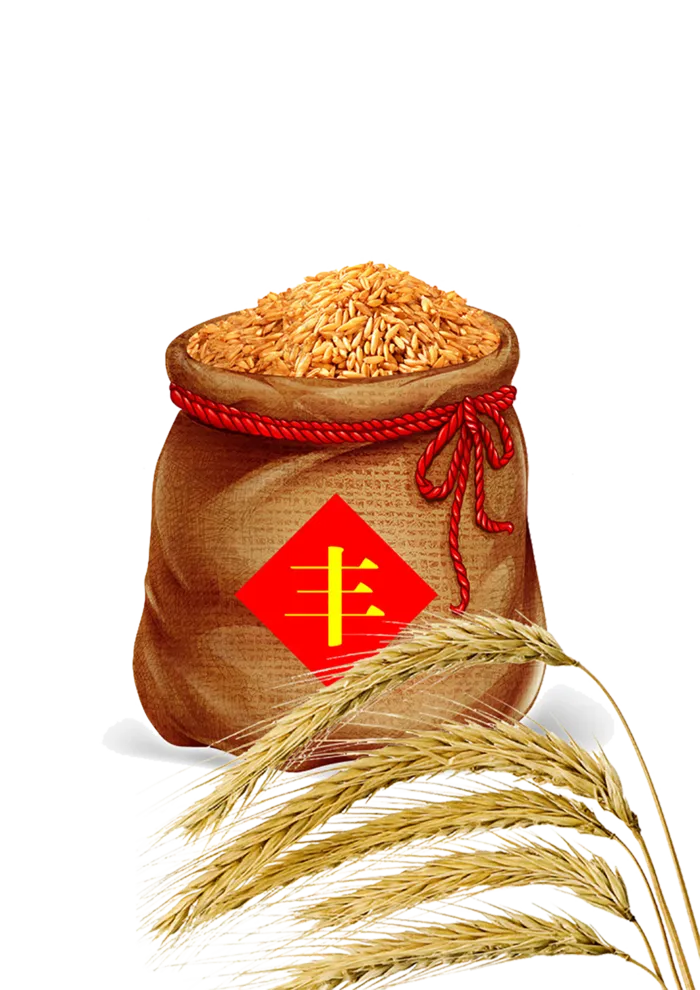 现代农业一袋稻子