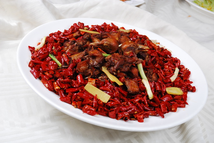 0911CC-552鸽福天下