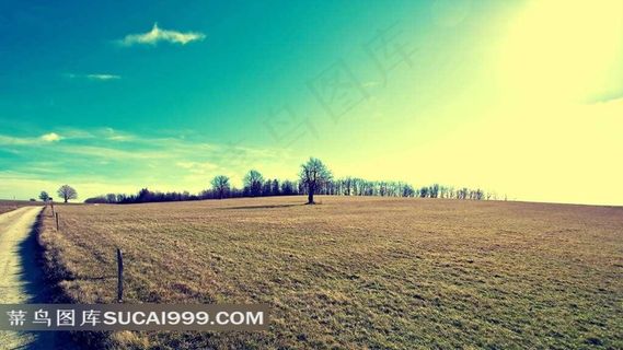 唯美空闲农田风光