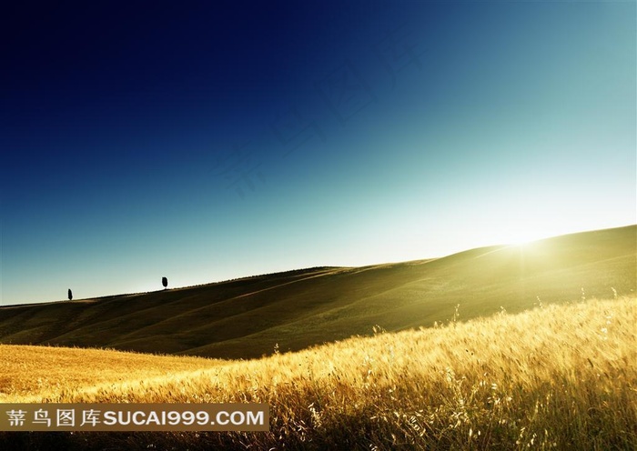 斜挂西边的太阳与草地唯美风景图片