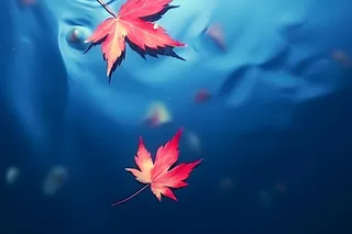 秋叶蓝色水面背景