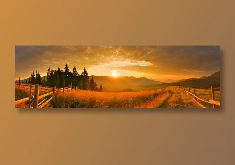 美丽的田野景色