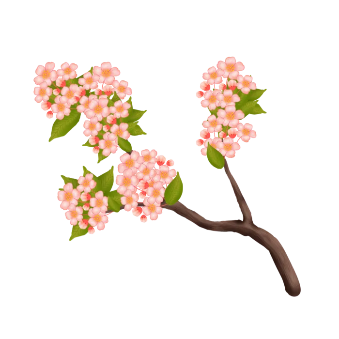 春天浪漫粉红色樱花手绘樱花梅花桃花花朵图片PNG免扣素材