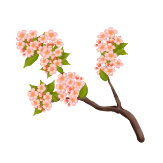 春天浪漫粉红色樱花手绘樱花梅花桃花花朵图片PNG免扣素材