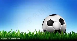 高清草坪上的足球
