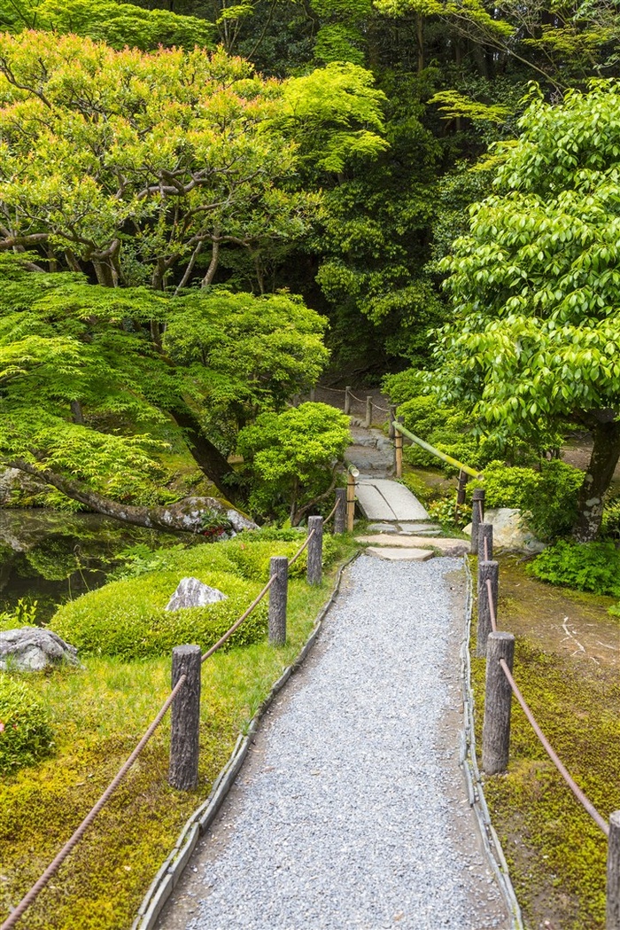 公园里的小路