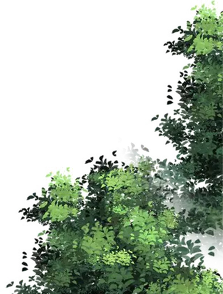 树木树枝树叶免扣素材