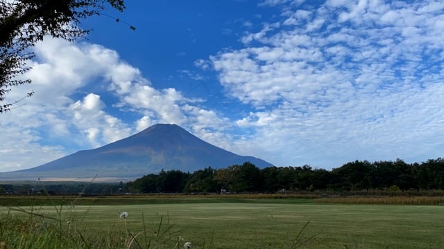 富士山, 花朵, 草地, 自然, 天空, 日本, 景观