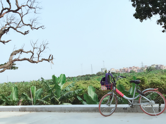 唯美小清新单车骑行特写