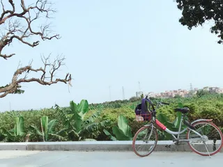 唯美小清新单车骑行特写