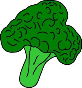西兰花 PNG免抠(282x300)