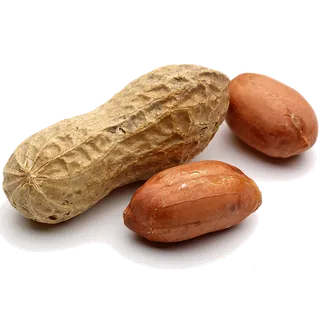 花生 (1)干果超市商品白底图免抠实物摄影png格式图片透明底