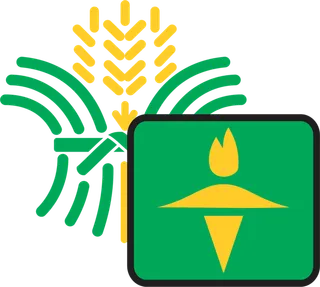 绿色粮食现代农业