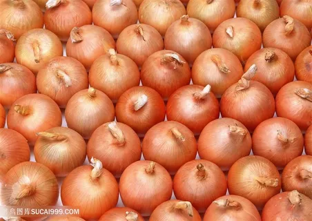 蔬菜洋葱平铺高清图