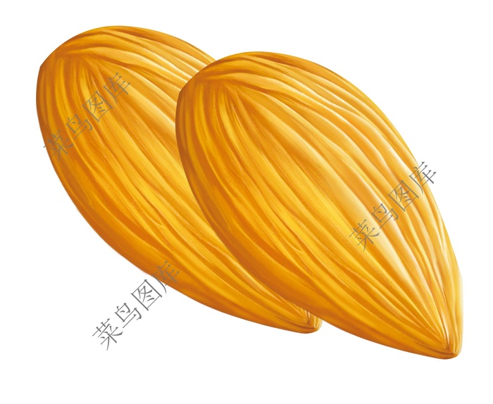 桃仁高清图psd模版下载