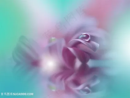 唯美梦幻水珠鲜花图片 唯美梦幻水珠鲜花图片