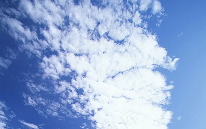 天空中的鱼鳞云