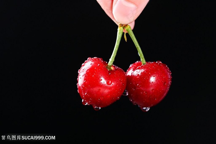 樱桃新鲜采摘