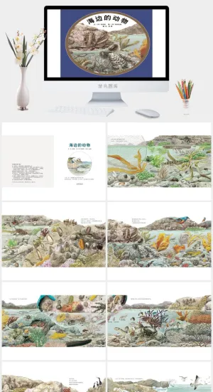 海边的动物幼儿园绘本故事预览图