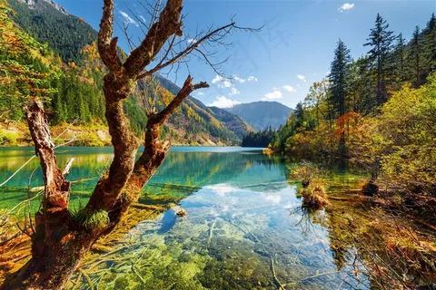 唯美小溪流树林风景图片 唯美小溪流树林风景图片