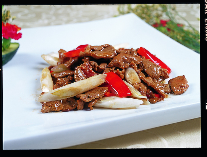 川菜湘菜高清菜谱 葱爆羊肉48元