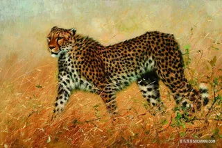 野生豹子高清油画