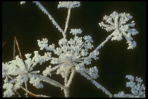 冰天雪地 620 冰天雪地 620