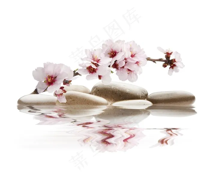 美丽的花朵与鹅卵石