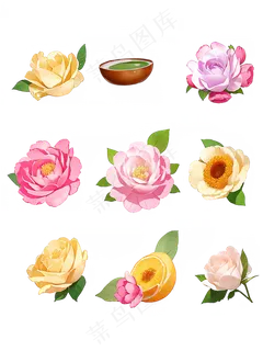 红色 粉色 手绘 免抠 PNG 玫瑰 花 素材17