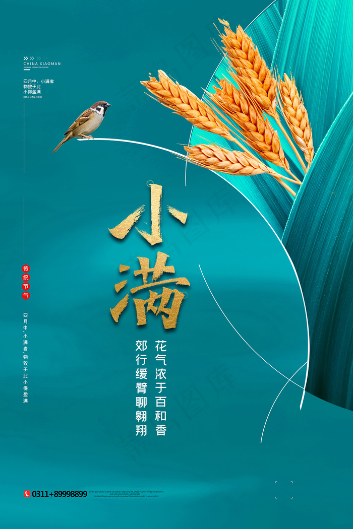 手绘24传统节气小满节日海报