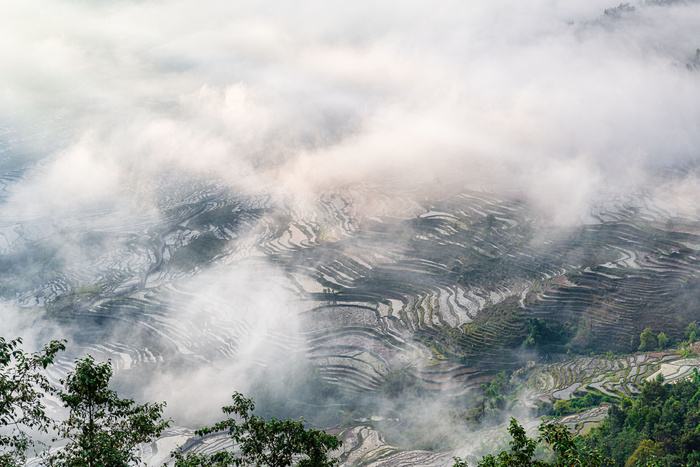 撒马坝梯田