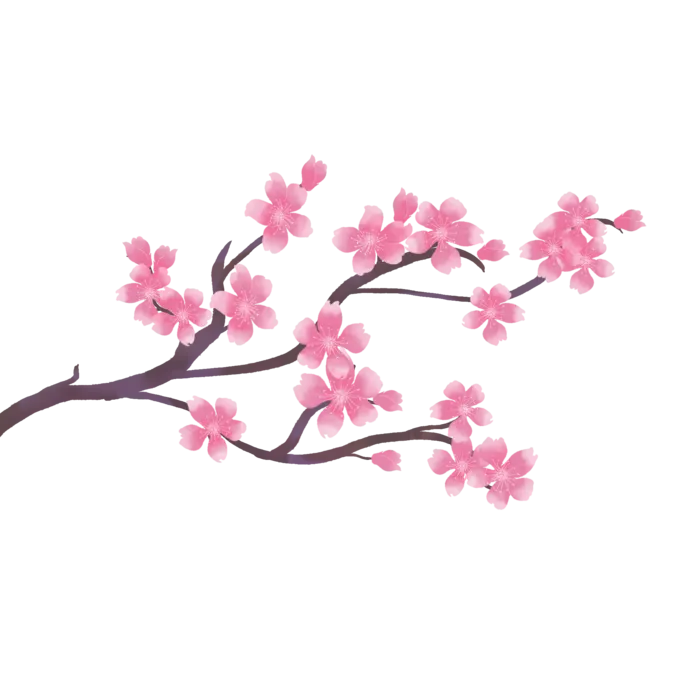 春天浪漫粉红色樱花手绘樱花梅花桃花花朵图片PNG免扣素材