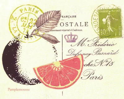 水果柠檬艺术插画 水果柠檬艺术插画