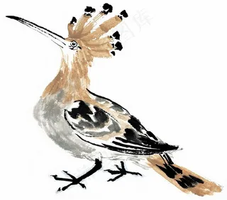 国画鸟欣赏花jpg素材