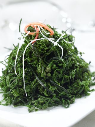 0911LCS-082 九寨沟云龙草