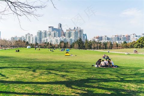 城市公园野营游玩