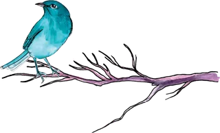 简约风手绘素描动画小鸟鸟儿免扣PNG图片素材 (61)