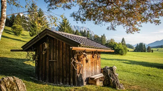 乡野小木屋图片