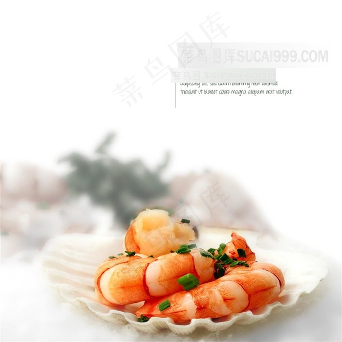 扇贝里的虾仁高清图片