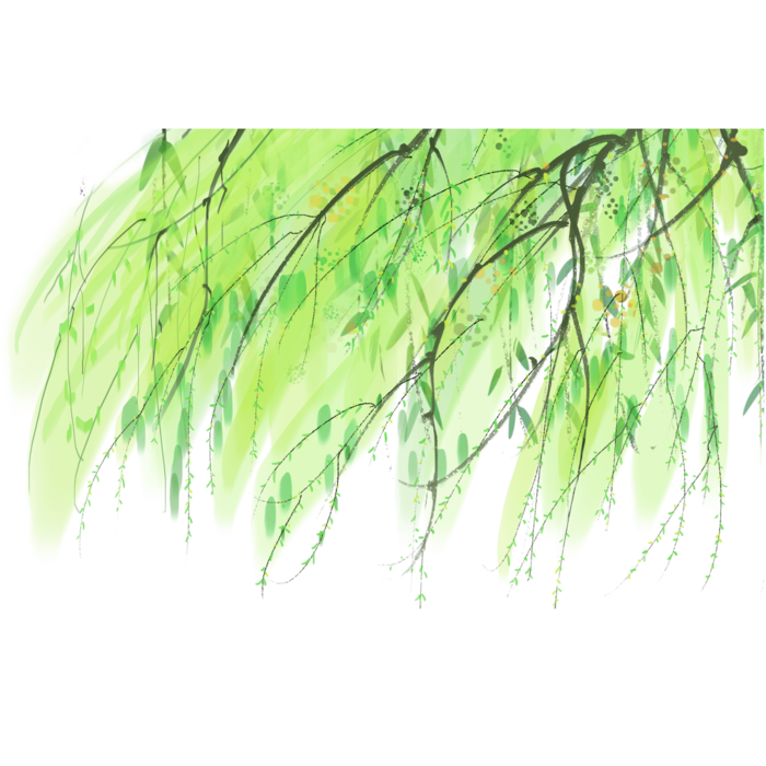 春天绿色春季水墨柳树柳条柳叶春季海报设计PNG免扣素材