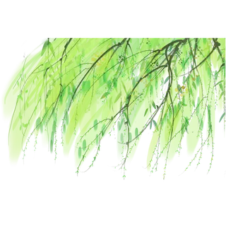 春天绿色春季水墨柳树柳条柳叶春季海报设计PNG免扣素材