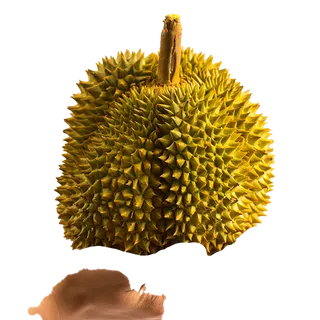 榴莲 (1)水果超市商品白底图免抠实物摄影png格式图片透明底