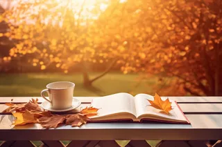 秋天公园长椅上翻开的书和咖啡杯摄影图