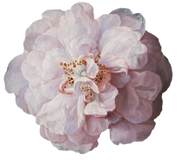 复古油画质感宫廷花卉植物花朵鲜花拼贴图案PNG免抠图片设计素材