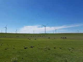 草原电力风车风景图片