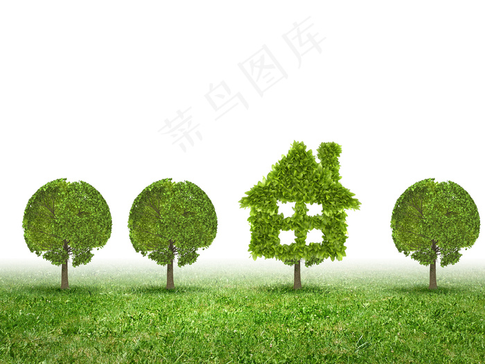 绿色清新草地树木图片