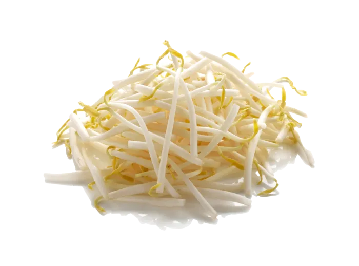 绿豆芽 (2)超市商品白底图免抠实物摄影png格式图片透明底