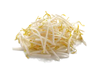 绿豆芽 (2)超市商品白底图免抠实物摄影png格式图片透明底