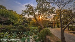 无锡鼋头渚日落