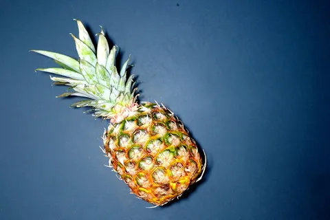 大凤梨图片 大凤梨图片